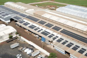 Vista aérea de um galpão industrial com painéis solares instalados no telhado, localizado em uma área ampla e cercada por vegetação.