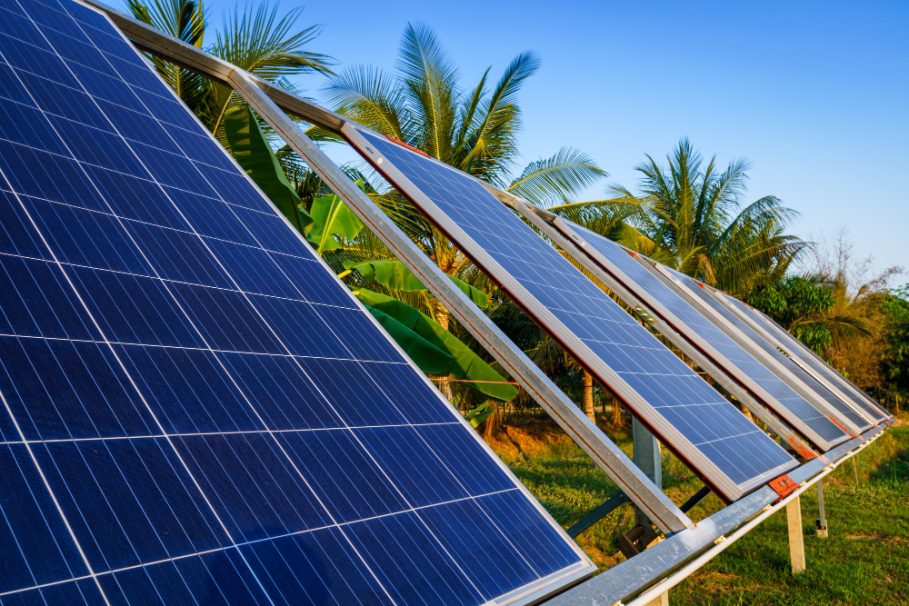 Painel Solar Painéis solares inclinados instalados em área externa com coqueiros ao fundo.